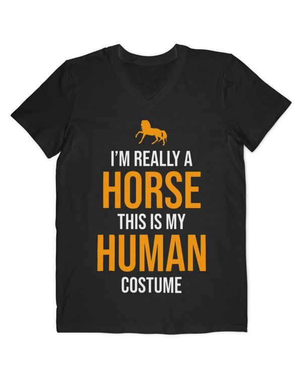 Men's V-Neck T-Shirt