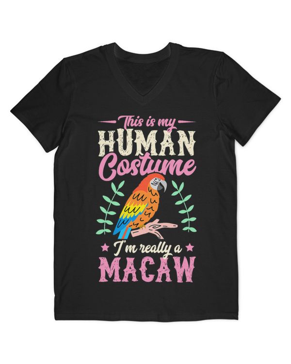 Men's V-Neck T-Shirt
