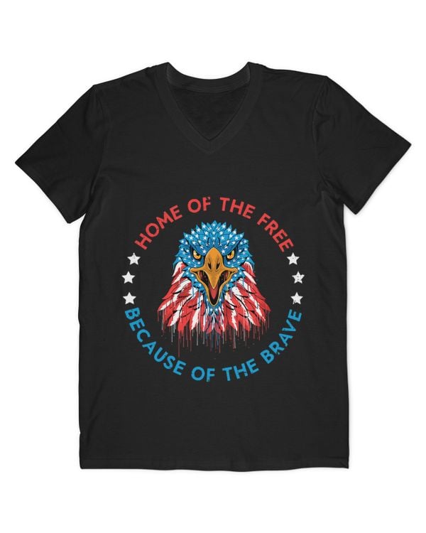 Men's V-Neck T-Shirt