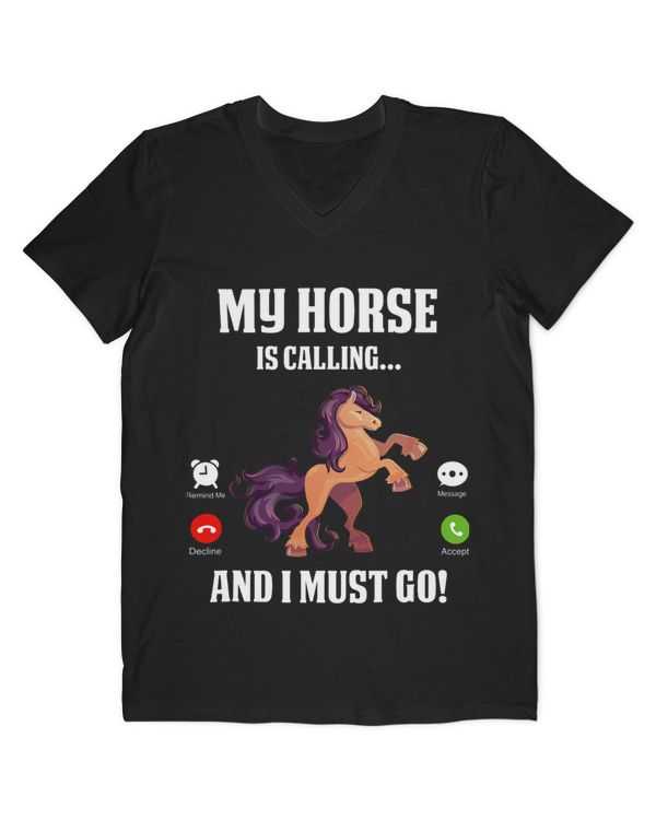 Men's V-Neck T-Shirt