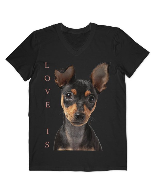 Men's V-Neck T-Shirt