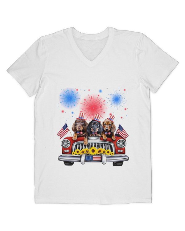 Men's V-Neck T-Shirt