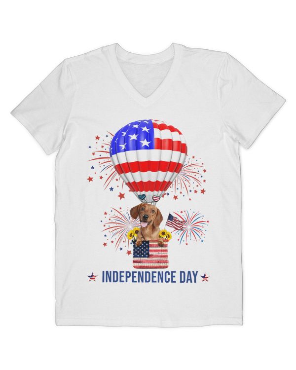 Men's V-Neck T-Shirt