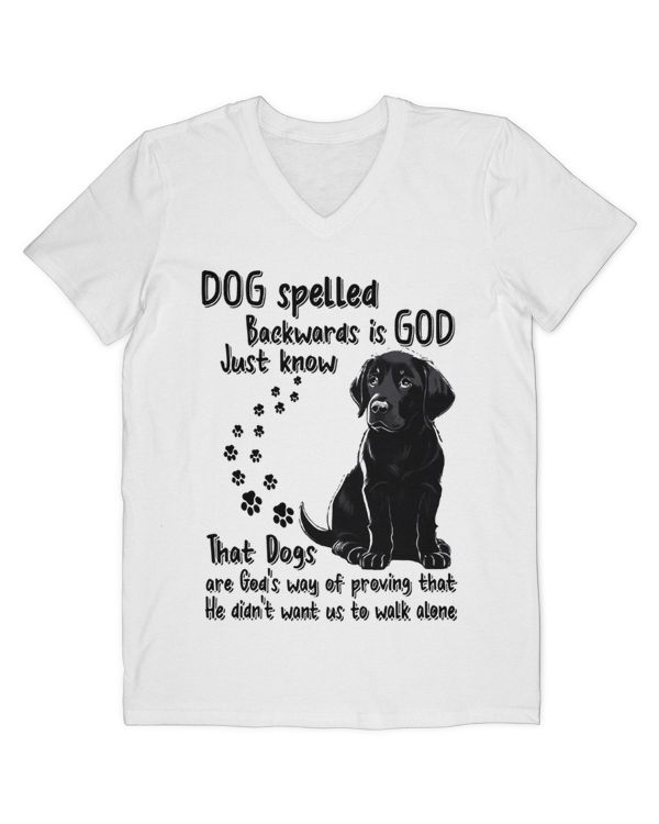 Men's V-Neck T-Shirt