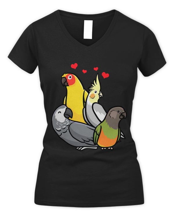 Women's V-Neck T-Shirt