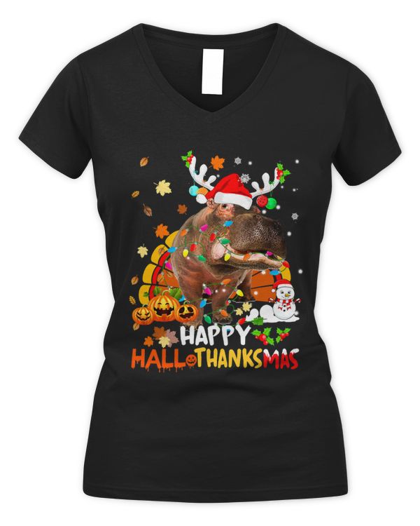 Women's V-Neck T-Shirt