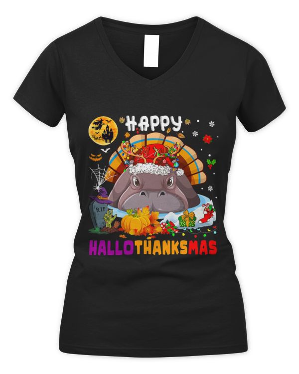 Women's V-Neck T-Shirt