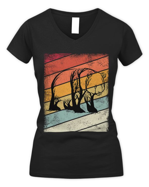 Women's V-Neck T-Shirt