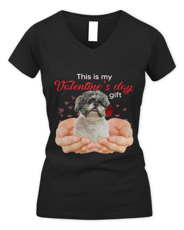 Women's V-Neck T-Shirt