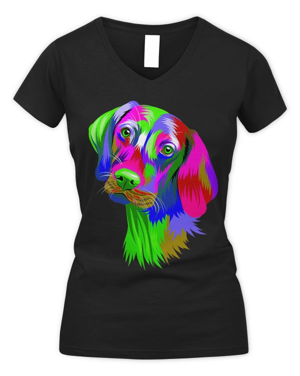 Women's V-Neck T-Shirt