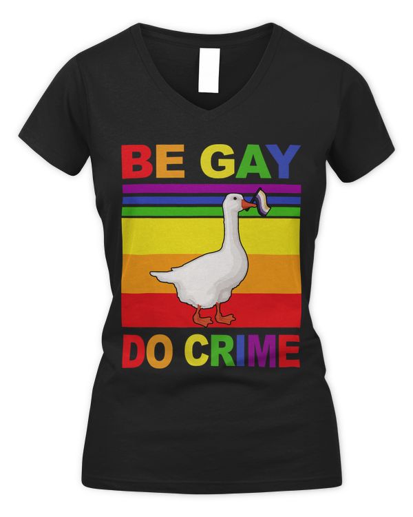 Women's V-Neck T-Shirt