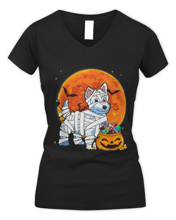 Women's V-Neck T-Shirt