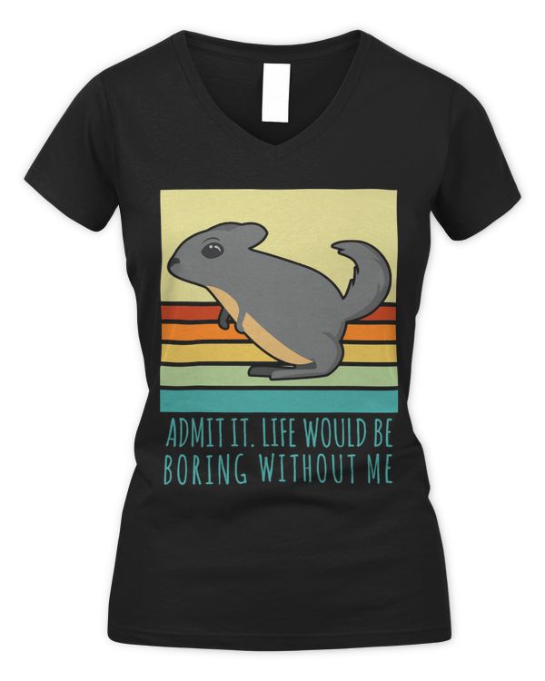 Women's V-Neck T-Shirt