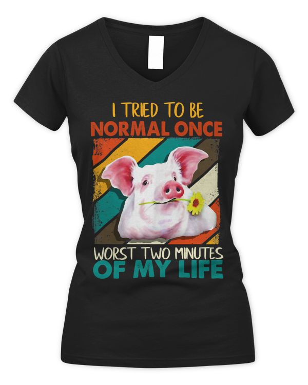 Women's V-Neck T-Shirt