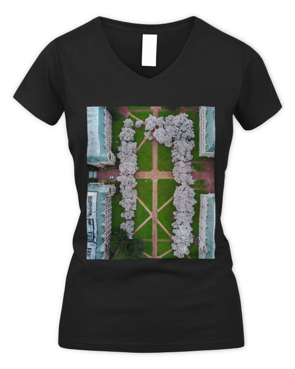 Women's V-Neck T-Shirt