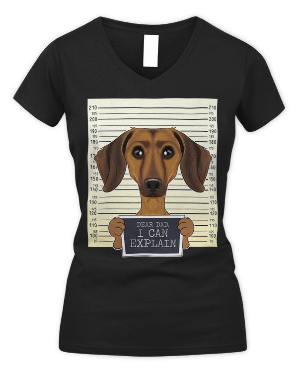 Women's V-Neck T-Shirt