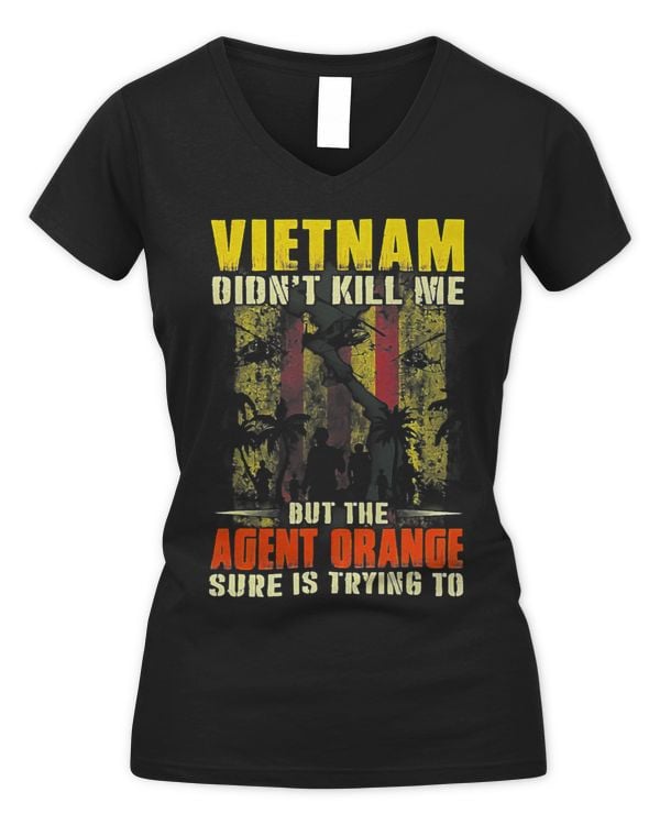 Women's V-Neck T-Shirt
