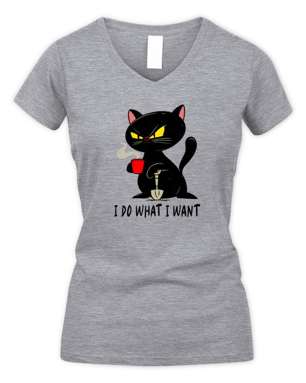 Women's V-Neck T-Shirt