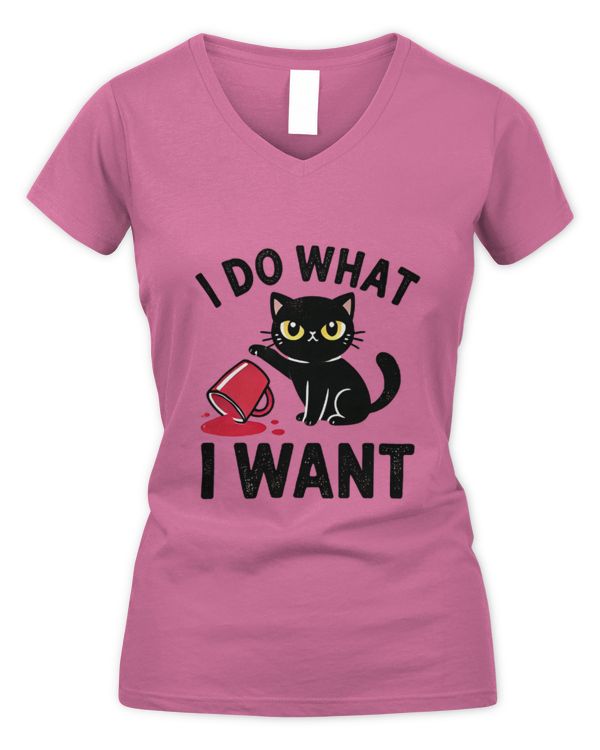 Women's V-Neck T-Shirt