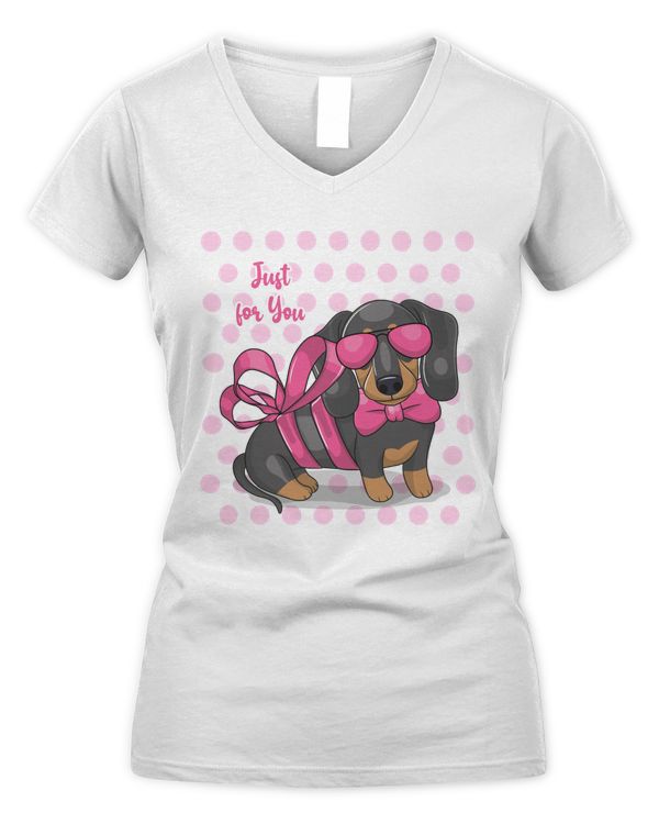 Women's V-Neck T-Shirt