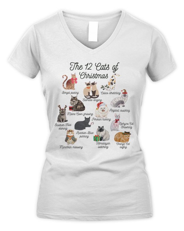 Women's V-Neck T-Shirt
