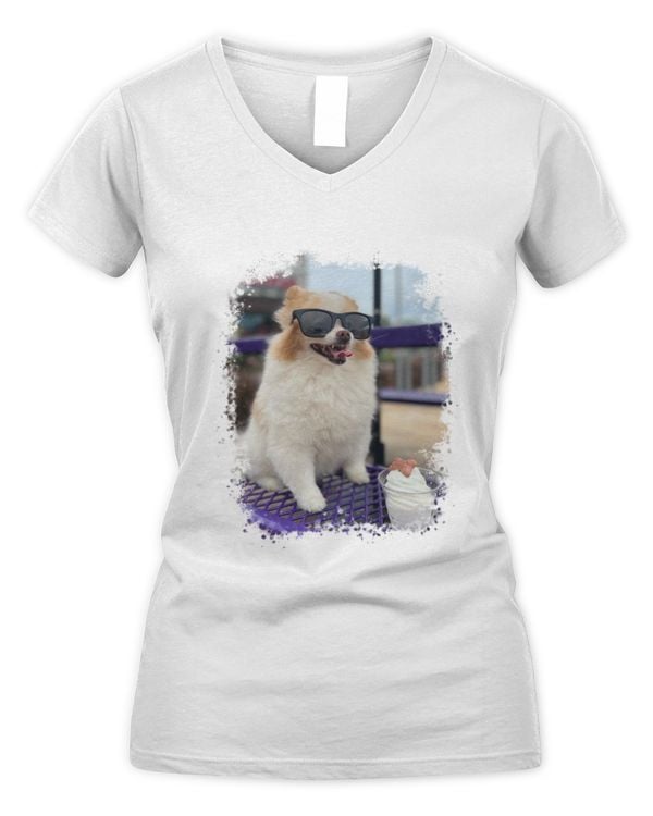 Women's V-Neck T-Shirt