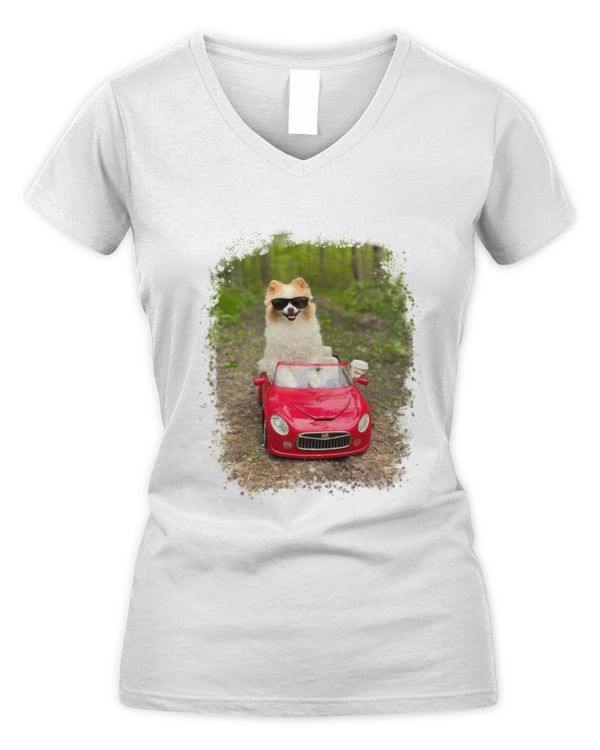 Women's V-Neck T-Shirt