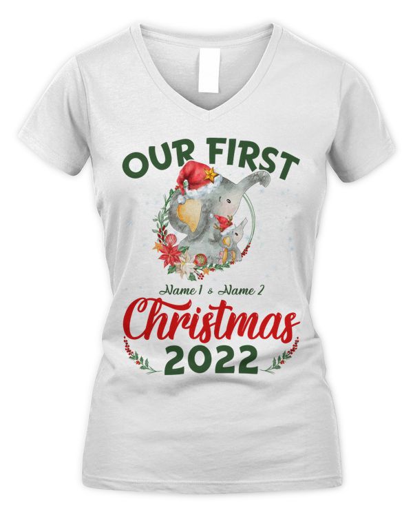 Women's V-Neck T-Shirt