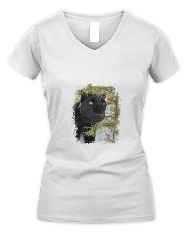 Women's V-Neck T-Shirt