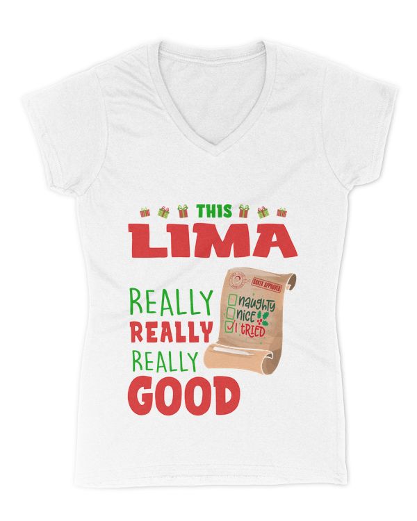 Women's V-Neck T-Shirt