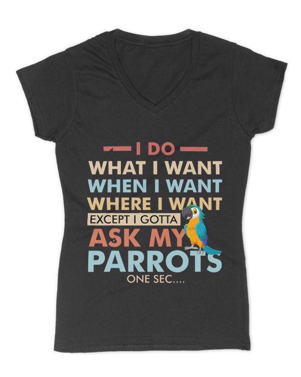 Women's V-Neck T-Shirt
