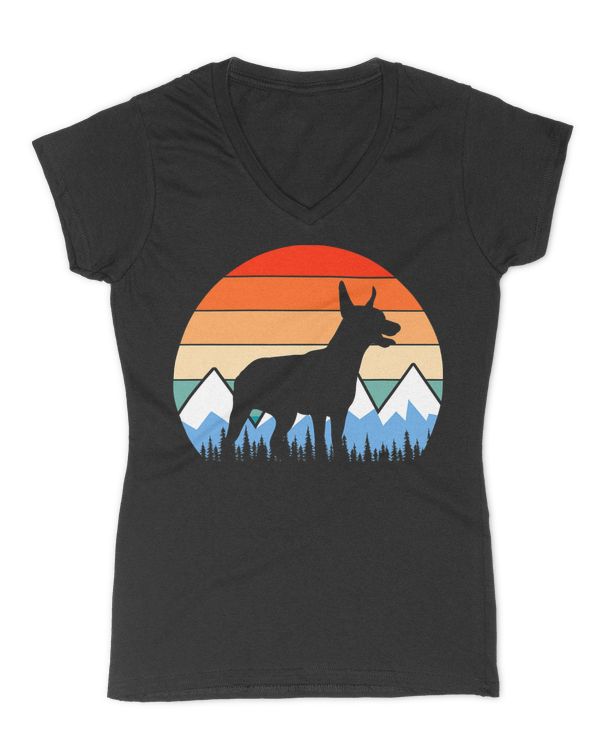 Women's V-Neck T-Shirt