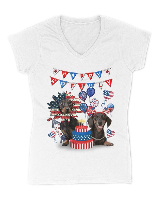Women's V-Neck T-Shirt