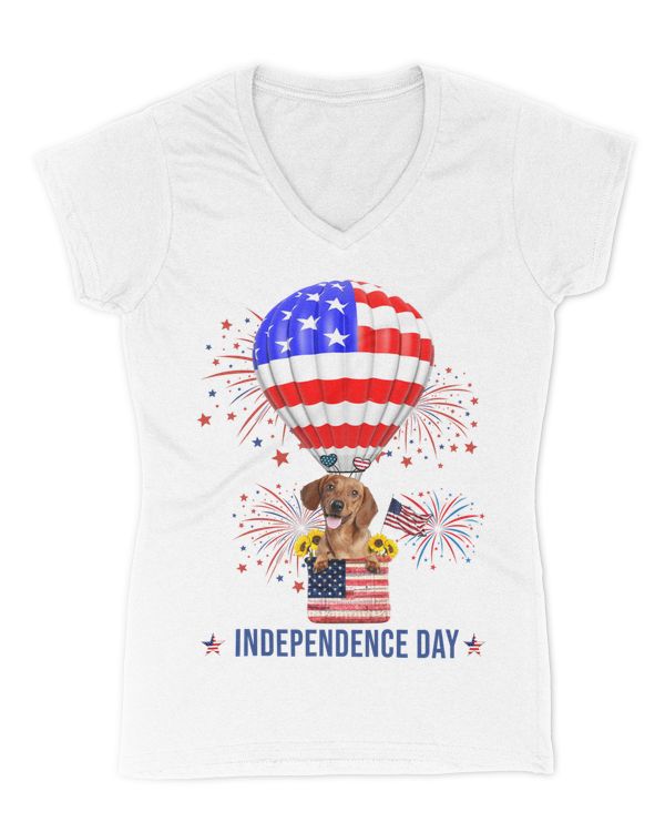 Women's V-Neck T-Shirt