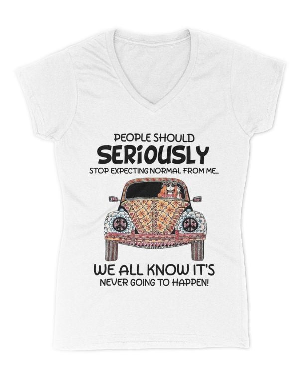 Women's V-Neck T-Shirt