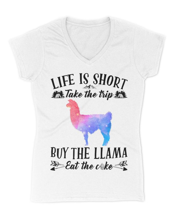 Women's V-Neck T-Shirt