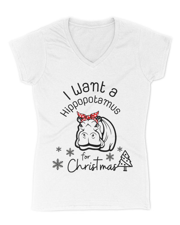 Women's V-Neck T-Shirt