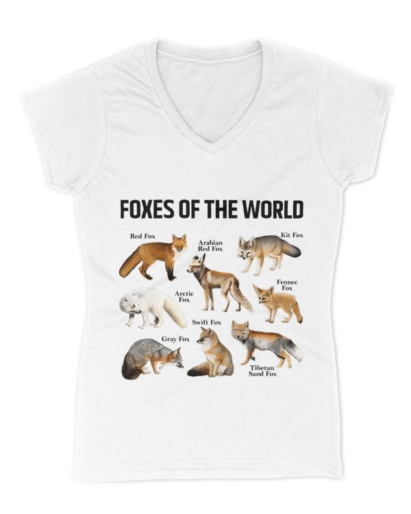 Women's V-Neck T-Shirt