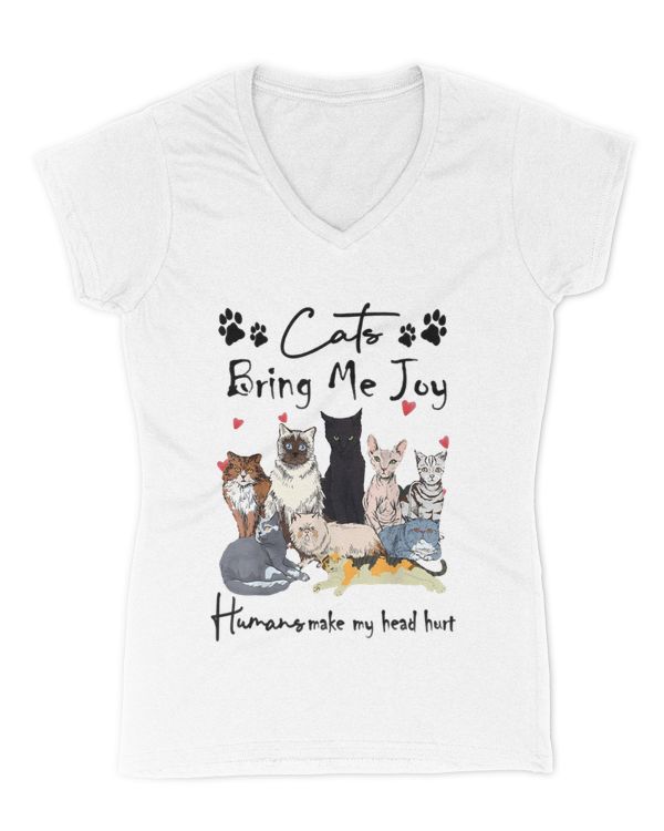 Women's V-Neck T-Shirt