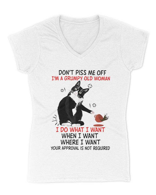 Women's V-Neck T-Shirt