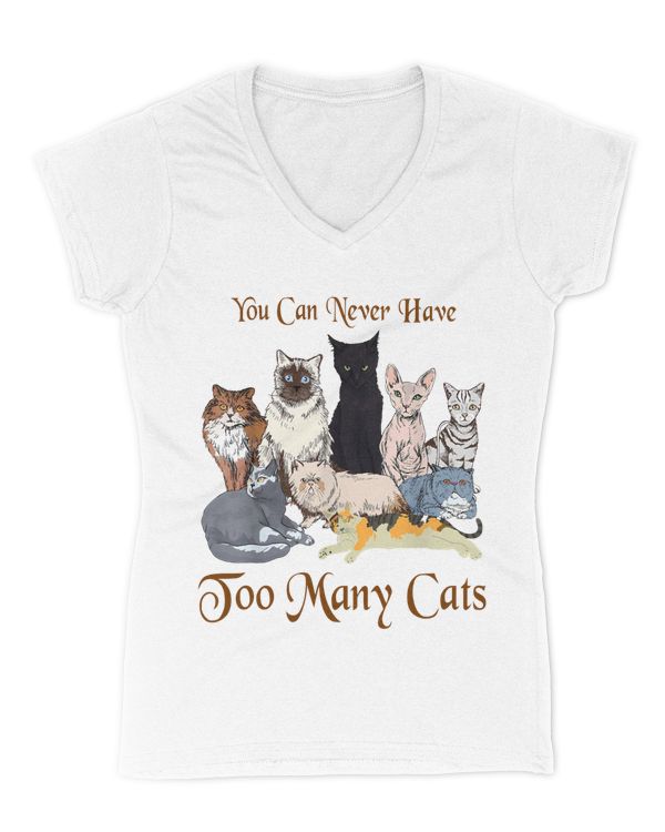Women's V-Neck T-Shirt