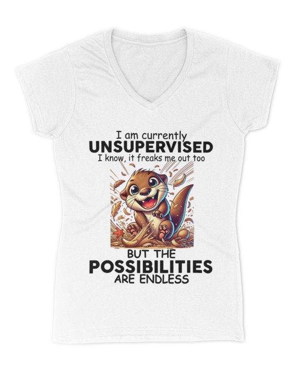 Women's V-Neck T-Shirt