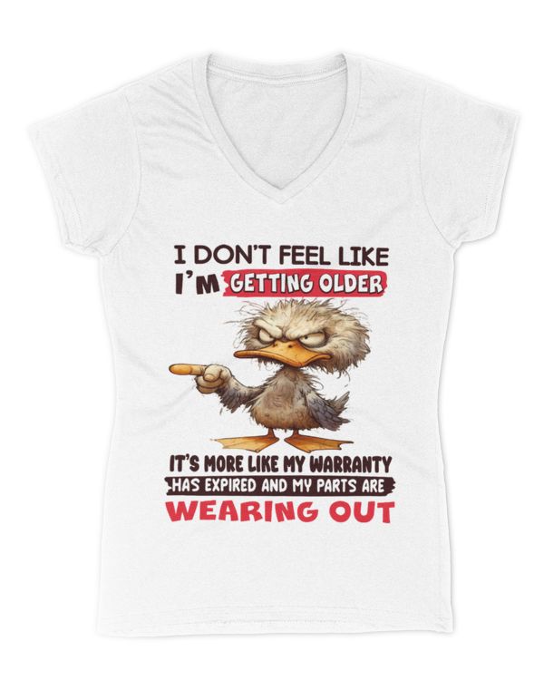 Women's V-Neck T-Shirt