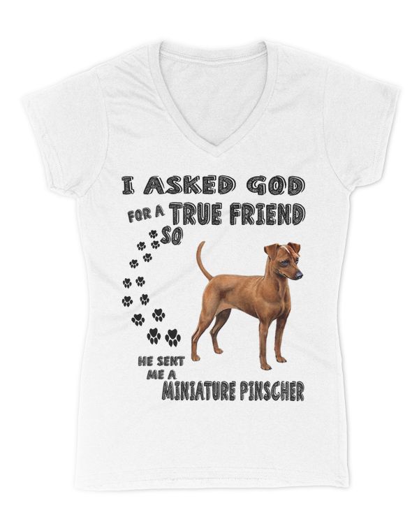 Women's V-Neck T-Shirt