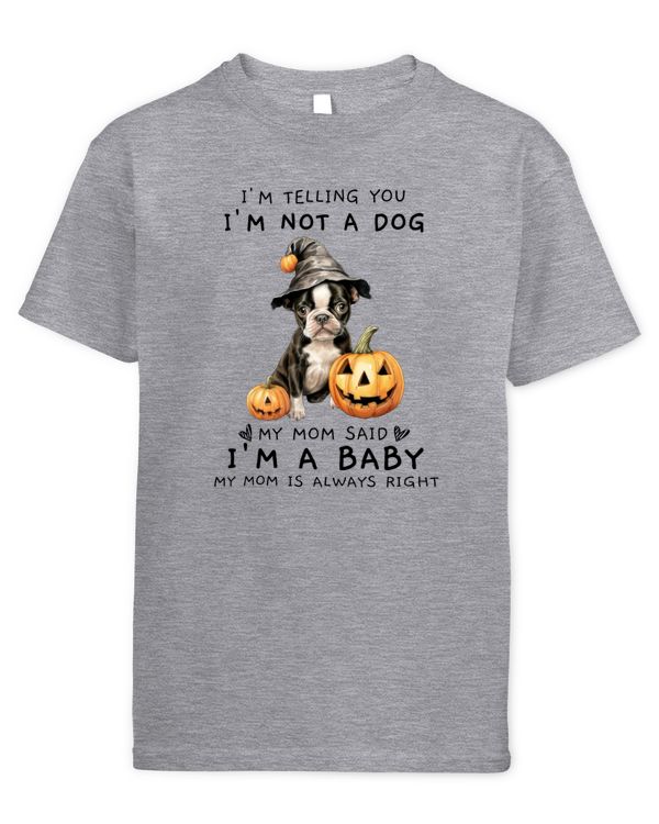 Youth's Standard T-Shirt