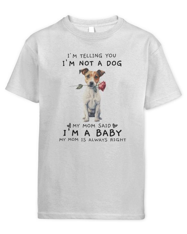 Youth's Standard T-Shirt
