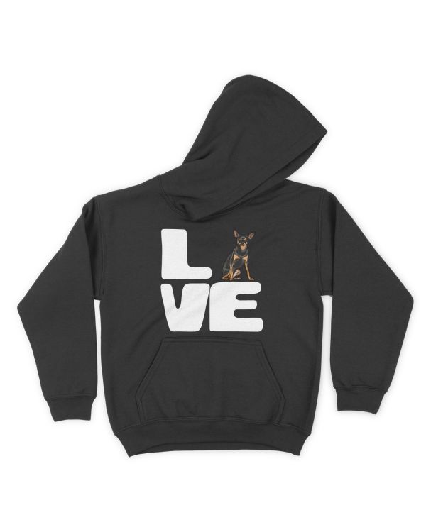 Kids Pullover Hoodie