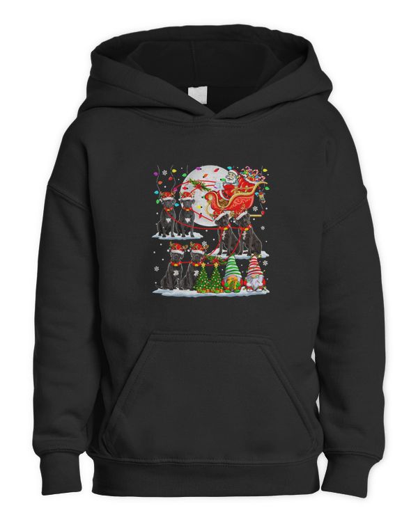 Kids Pullover Hoodie