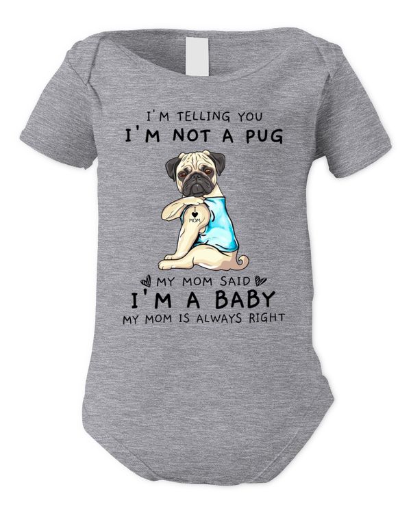 Infant Short Sleeve Bodysuit