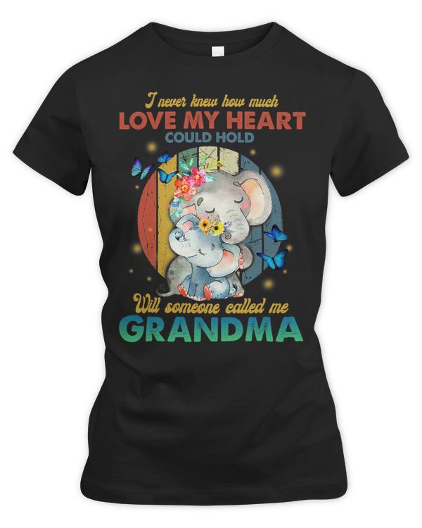 Women's Premium Slim Fit Tee